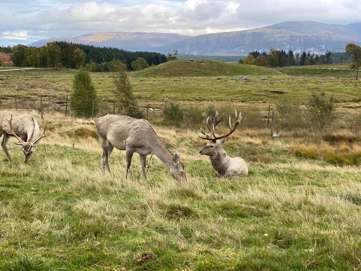 Ardenbeg Hotel Grantown-on-Spey Eksteriør billede